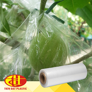 과일 나무가 LDPE 필름으로 덮여 있습니다.