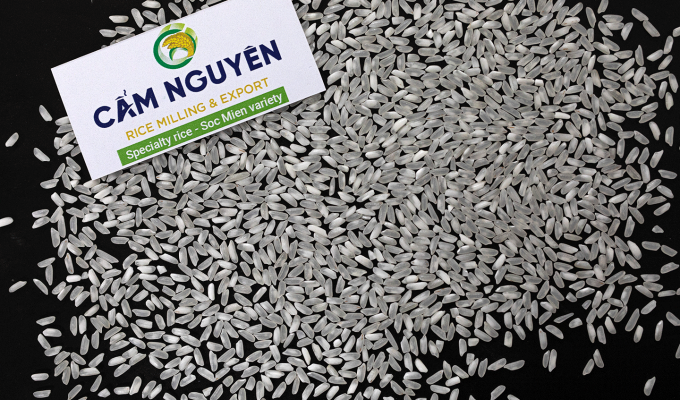 쌀 누들 (Soc Mien Rice)