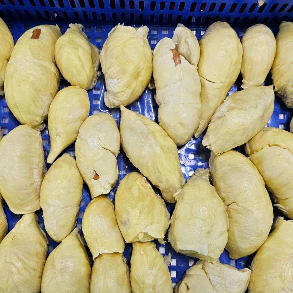 두리안