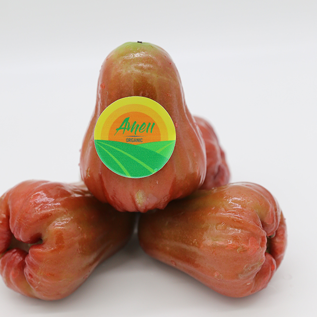신선한 로즈애플
