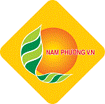 남풍 V.N 주식회사